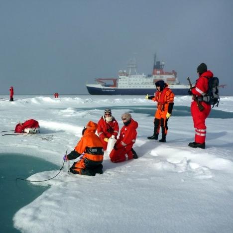 绝区零浮冰路线攻略，安全收集样本技巧揭秘