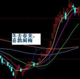 三角洲行动：揭秘32招实战技巧，破解操作难题