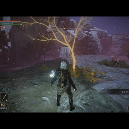 艾尔登法环DLC盾戳流BD,黄金树之影攻略揭秘 艾尔登法环DLC盾戳流BD,黄金树之影攻略揭秘