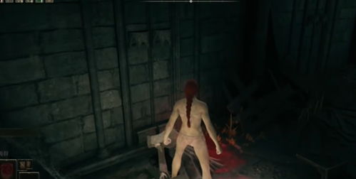 艾尔登法环DLC血变流攻略:黄金树之影实战技巧 艾尔登法环DLC血变流攻略:黄金树之影实战技巧