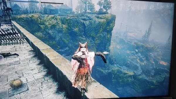 艾尔登法环DLC新武器在哪？黄金树之影大刀位置分享