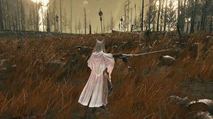 艾尔登法环仕女剑获取攻略