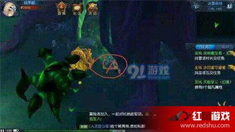 迷雾森林宝箱位置速查攻略