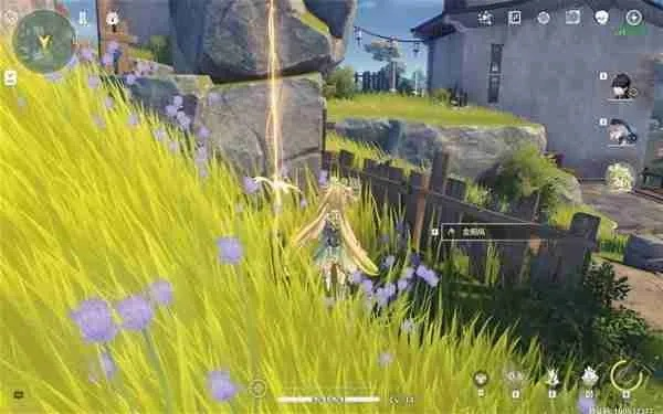 鸣潮金阳凤采集路线揭秘，快速掌握！