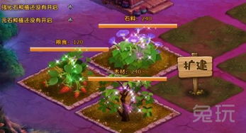 庄园领主财政系统揭秘：破解财务难题