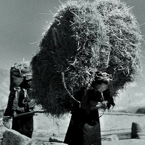 《庄园领主》建筑快速拆除法，告别繁琐！