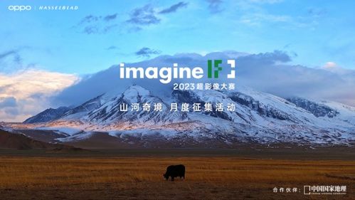 《双影奇境》攻略：揭秘霓虹复仇登山远足秘境！