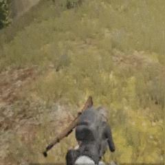 《荒野》轻弩滑步腰射流配装攻略大揭秘！