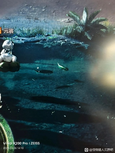 《怪物猎人荒野》带卵弓鳍鱼钓点揭秘