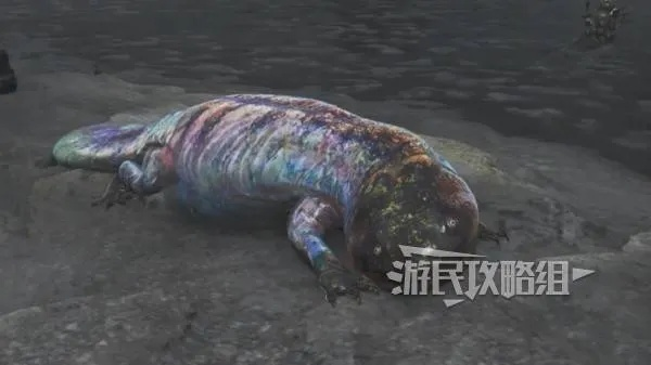 《怪物猎人荒野》胶鲵位置及掉落攻略
