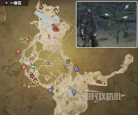 《怪物猎人荒野》月华粉速得法