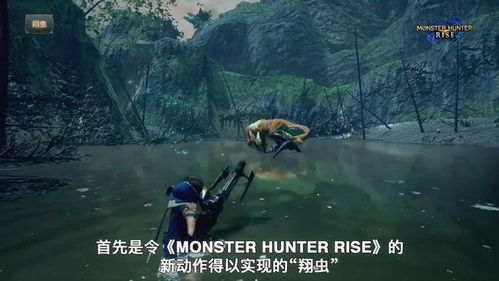 《怪物猎人荒野》太刀沼喷龙样式路线速查