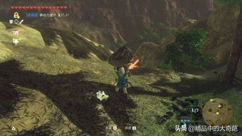 沙之流星荒野抓捕位置攻略 沙之流星荒野抓捕位置攻略