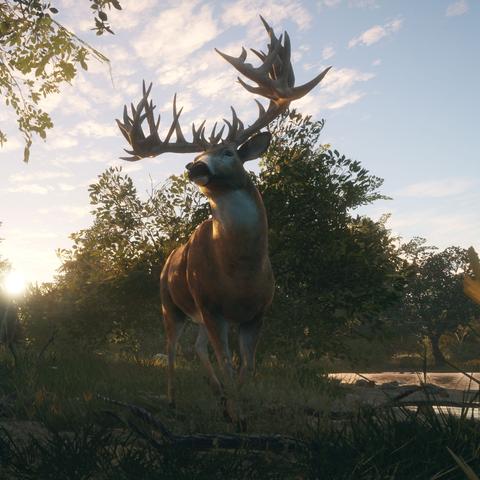 《怪物猎人荒野》通关福利揭秘！