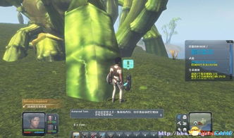 《荒野》安全营地全开启路线，快速领跑攻略！