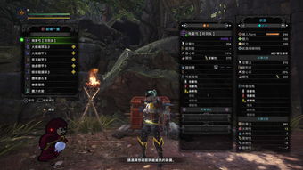 《怪物猎人荒野》弓调查队样式路线速查