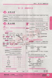 《如龙8外传》夏威夷测验答案速查！