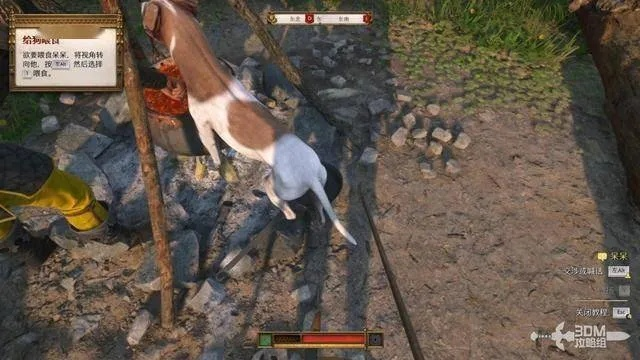 《天国拯救2》白獐支线攻略：快速完成方法揭秘