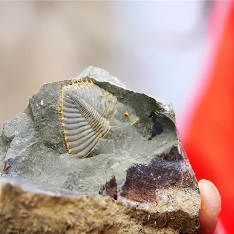 《文明7》密西西比强度特点揭秘:如何轻松征服? 《文明7》密西西比强度特点揭秘:如何轻松征服?