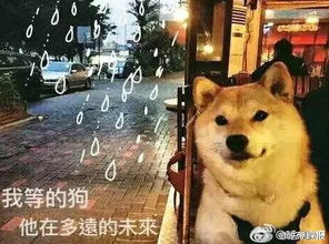 《中国式相亲》无狗攻略：告别焦虑，轻松相亲