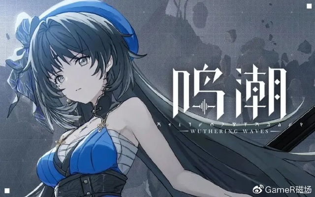 《鸣潮》洛可可技能揭秘：如何提升战斗力？