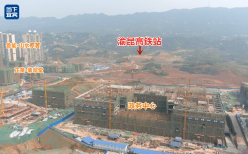 绝区零耀嘉音材料需求，快速解决！