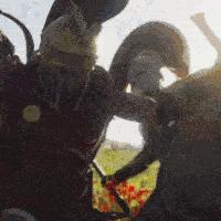 真三国无双起源猛击阵型获取攻略