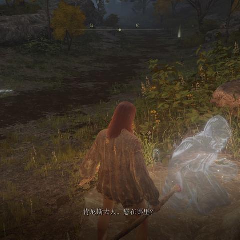 艾尔登法环史东薇尔城全收集攻略，快速通关！