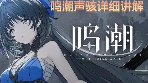 《鸣潮》黎那汐塔新声骸刷取攻略，快速通关秘籍！