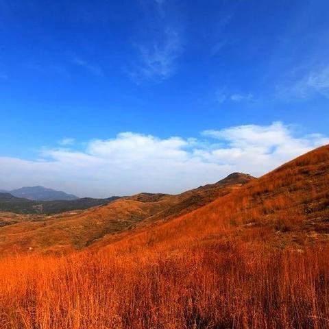 《无限暖暖》小石树花田商人位置揭秘