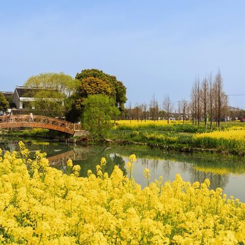 《无限暖暖》心愿原野第一天攻略，快速通关！