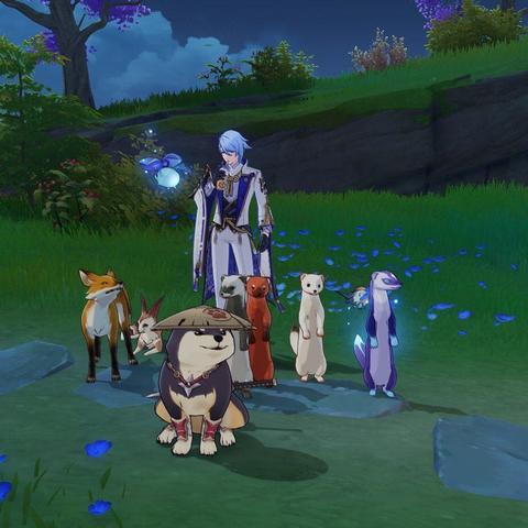 原神剪影辑帧全关卡满奖攻略，电影素材顺序揭秘