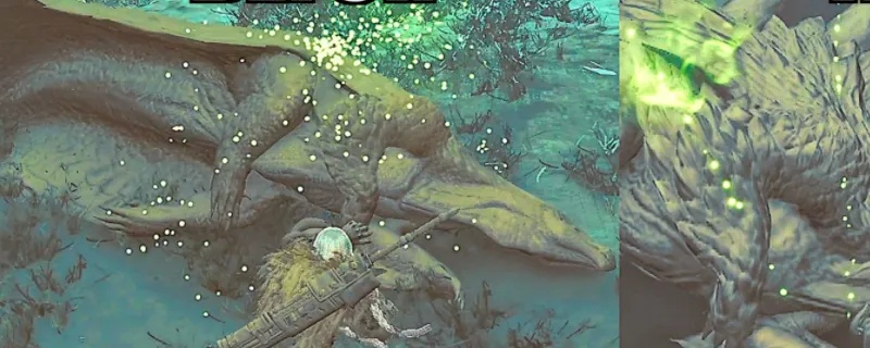 《怪物猎人荒野》冬龙夏草位置获取攻略