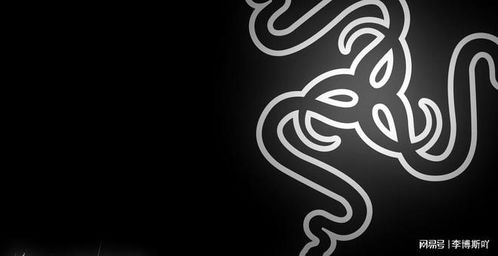 《暗黑4》灰屏闪退？速看解决攻略