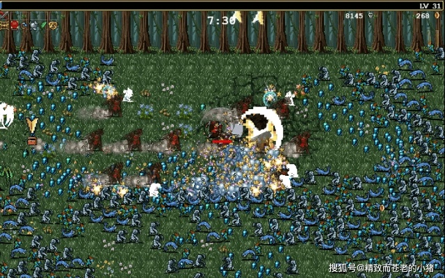 《吸血鬼幸存者》DLC购买难题?快速解决攻略 《吸血鬼幸存者》DLC购买难题?快速解决攻略