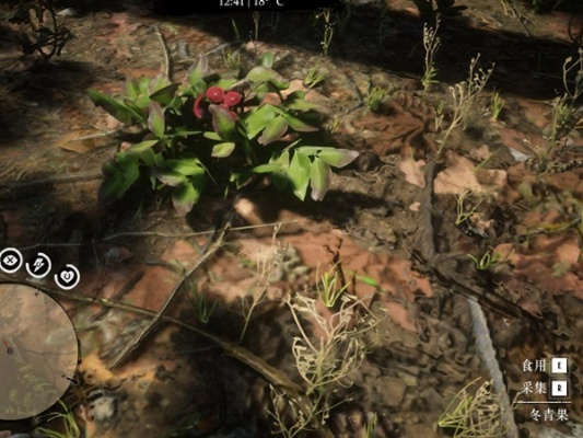 《荒野大镖客2》草药大师挑战攻略！快速通关技巧