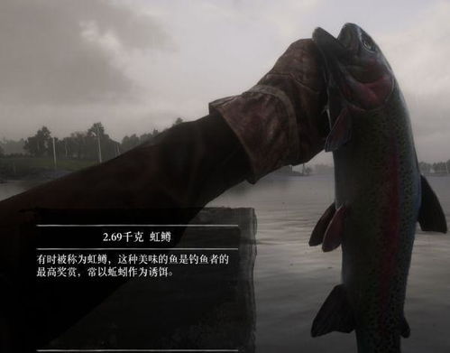 《荒野大镖客2》钓鱼攻略：全鱼类地点速查