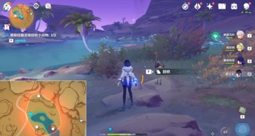 原神暝视寻灵织卷拼图攻略，快速拼图技巧！