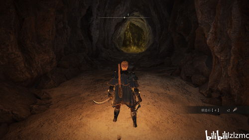 艾尔登法环古龙瑟涅桑克斯攻略，快速通关技巧