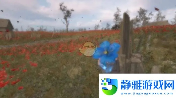 《潜行者2》怪异花获取攻略，快速获取方法揭秘