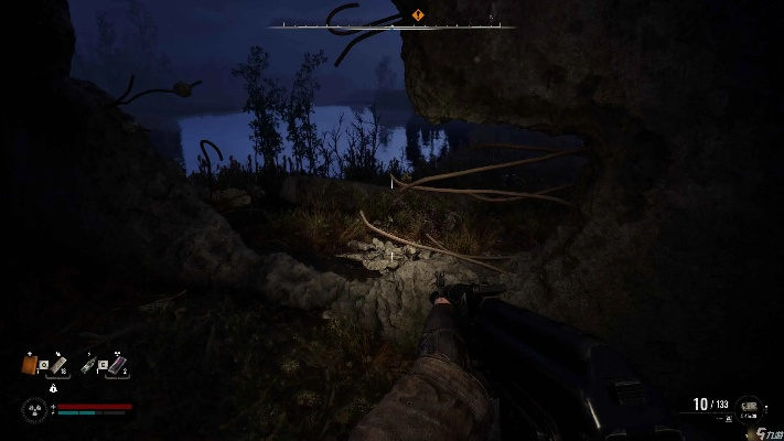 《潜行者2》怪异花获取攻略，快速获取方法揭秘