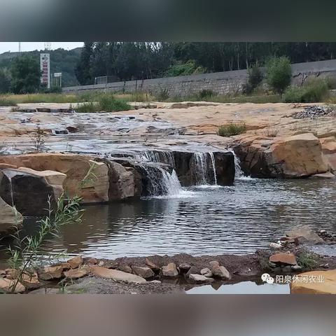 炉石尘数卡组强度揭秘：11套回归必看攻略