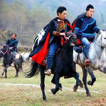 炉石传说彩蹄骑构筑攻略，快速提升胜率！