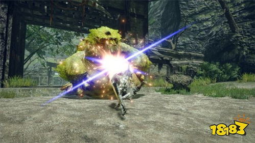 《怪物猎人荒野》老旧龙雕币速刷攻略