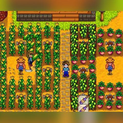 《星露谷物语》1.6版种蘑菇速赚攻略