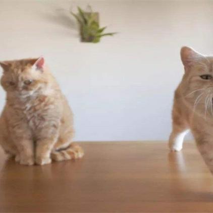 《致命解药》速通攻略，一命通关秘籍！