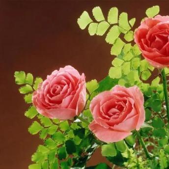 《世界之外》四男主结局攻略揭秘