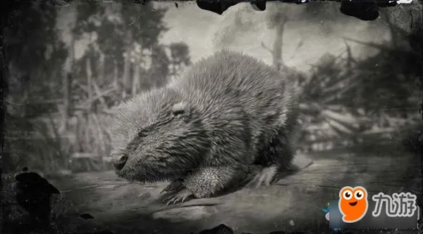 《荒野大镖客2》河狸位置速查！快速找到河狸宝藏