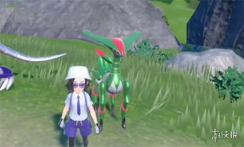 《宝可梦朱紫》波荡水铁斑叶阵容攻略！