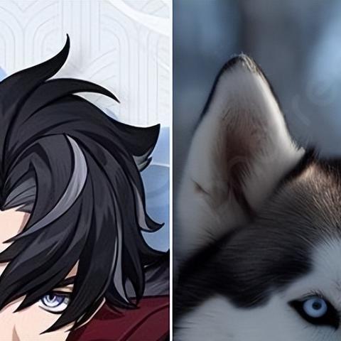 原神4.1下半原石攻略：莱欧斯利上线，如何高效获取？